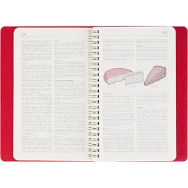 Ежедневник недатированный Bruno Visconti Alba искусственная кожа А5 136 листов красный