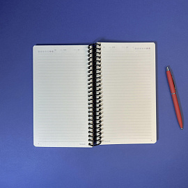 Ежедневник недатированный Bruno Visconti Agenda искусственная кожа Soft Touch А5 128 листов чёрный