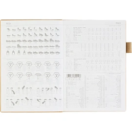 Ежедневник недатированный Bruno Visconti Grand искусственная кожа А5 128 листов золотой