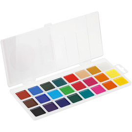 Акварель Гамма, медовая, 24 цветов, без кисти, пластик. упак., европодвес