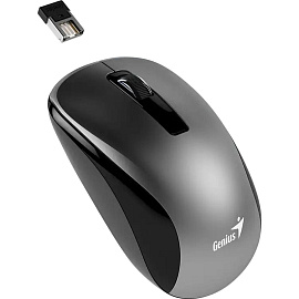 Мышь беспроводная Genius NX-7010 серая (31030018405)