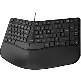 Клавиатура проводная Genius Ergo KB-700 (31310053402)