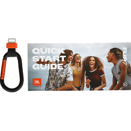 Портативная акустика JBL Flip 7 Black (JBLFLIP7BLK)