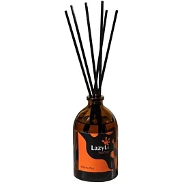 Аромадиффузор LazyLi Witchs pot  100мл тубус, TSRD00154974