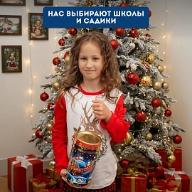 Новогодний сладкий подарок Тройка Туба 1000 грамм, K013