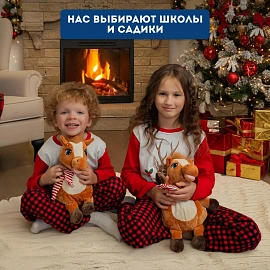 Новогодний сладкий подарок РОКО Лошадка Мираж 800 г