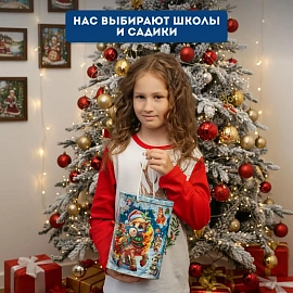 Новогодний сладкий подарок Новогодний курьер Жесть 1000 грамм, K057