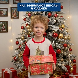 Новогодний сладкий подарок Птицы Фанера 1500 грамм, K100