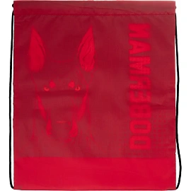 Мешок для сменной обуви Doberman 420х340 мм чёрный с ручками