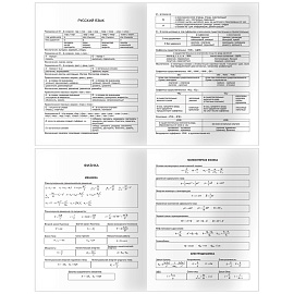 Дневник 5-11 кл. 48л. ЛАЙТ BG "Космонавт", глянцевая ламинация, тиснение фольгой