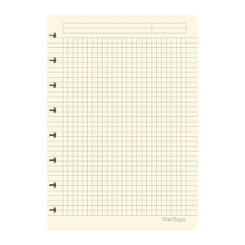 Сменный блок для бизнес-тетрадей Berlingo 80л., А5, белый