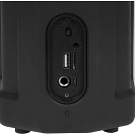 Акустическая система Defender Funky чёрная (65053)