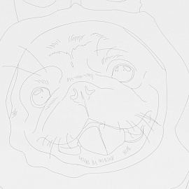 Набор для рисования Скетчинг акварелью Модные пёсики, Рн-044 фото Набор для рисования Скетчинг акварелью Модные пёсики, Рн-044