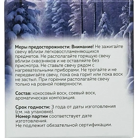 Свеча ароматическая СВ Зимний букет АР 100-795