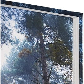 Ежедневник недатированный 7БЦ, пленка глянц., А5,128л, Выбор есть, Тайга