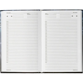 Ежедневник недатированный 7БЦ, пленка глянц., А5,128л, Выбор есть, Тайга