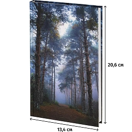 Ежедневник недатированный 7БЦ, пленка глянц., А5,128л, Выбор есть, Тайга