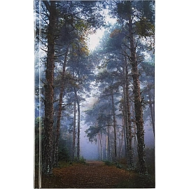 Ежедневник недатированный 7БЦ, пленка глянц., А5,128л, Выбор есть, Тайга