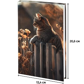 Ежедневник недатированный 7БЦ, пленка глянц., А5,128л, Выбор есть, Кошка