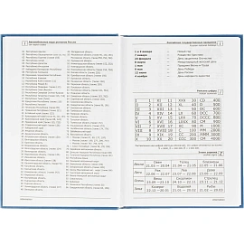 Ежедневник недатированный А5 Выбор есть Джерси, синий, 160 л