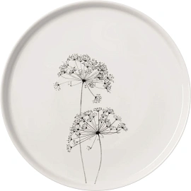 Тарелка  обеденная Фенхель 26 см,6шт/уп