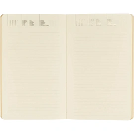 Ежедневник недатированный Bruno Visconti Primavera искусственная кожа А5 128 листов с рисунком (золотистый обрез, 3-743/12)