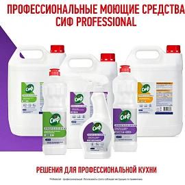 Средство для посудомоечных и таромоечных машин Сиф Professional 5л