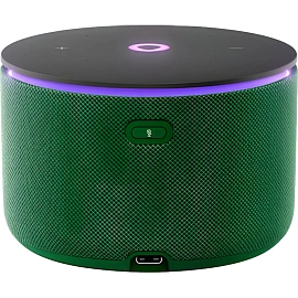 Умная колонка Яндекс Станция Мини 3 Про, Zigbee, зеленый (YNDX-00059GRN)