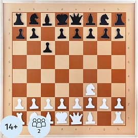 Настольная игра Шахматы демонстрационные магнитные (мини),04360