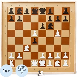 Настольная игра Шахматы демонстрационные магнитные,   01756