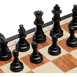 Настольная игра Магнитные шахматы 