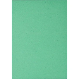 Обложки для переплета картонные ProMega office А4 230 г/кв.м зеленые текстура кожа (100 штук в упаковке)
