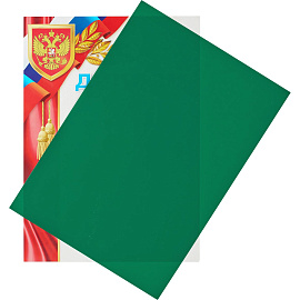 Обложки для переплета пластиковые ProMega office A4 280 мкм зеленые глянцевые (100 штук в упаковке)