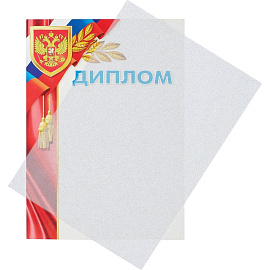 Обложки для переплета пластиковые ProMega office A4 280 мкм полупрозрачные матовые (100 штук в упаковке)