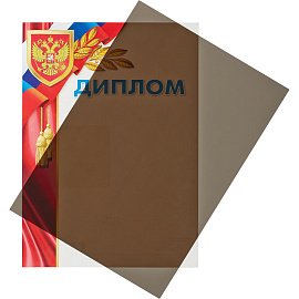 Обложки для переплета пластиковые ProMega office A4 200 мкм дымчатые (100 штук в упаковке) фото Обложки для переплета пластиковые ProMega office A4 200 мкм дымчатые (100 штук в упаковке)
