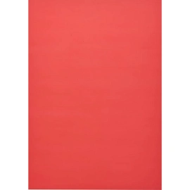 Обложки для переплета пластиковые ProMega office A4 200 мкм красные прозрачные (100 штук в упаковке)