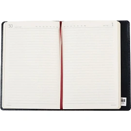 Ежедневник полудатированный Bruno Visconti Profy натуральная кожа А5 192 листа синий (золотистый обрез)