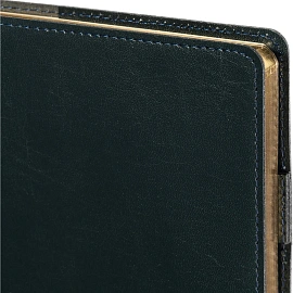 Ежедневник полудатированный Bruno Visconti Profy натуральная кожа А5 192 листа синий (золотистый обрез)