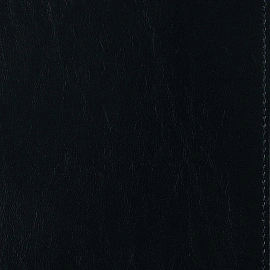 Ежедневник полудатированный Bruno Visconti Profy натуральная кожа А5 192 листа синий (золотистый обрез)