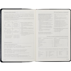 Ежедневник полудатированный Bruno Visconti Profy натуральная кожа А5 192 листа синий (золотистый обрез)