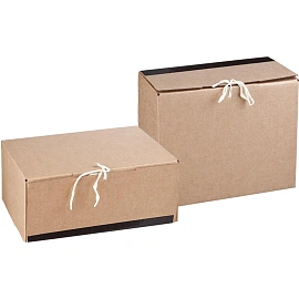 Короб архивный гофрокартон на 2-х завязках 380x283x170 мм бурый до 1700 листов