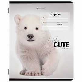 Тетрадь 12 л. BRAUBERG, клетка, обложка картон, CUTE ANIMALS, 107266