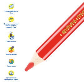 Карандаши цветные Мульти-Пульти "Енот на лугу", 06цв., утолщ., трехгран., укорочен., заточен., картон