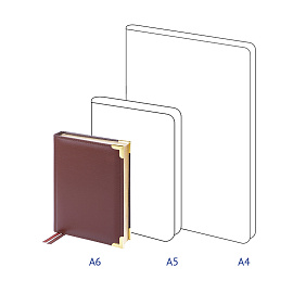 Ежедневник недатированный, А6, 160л., кожа, Delucci, фактурная кожа, коричневый, зол. срез