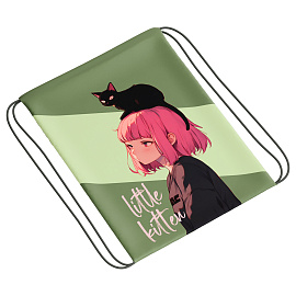 Мешок для обуви 1 отделение ArtSpace "Friends", 340*420мм