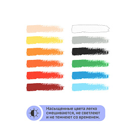 Пастель масляная Гамма Студия круглая 12 цветов