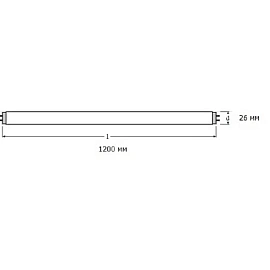 Лампа люминесцентная Osram 36 Вт G13 T8 6500 К 2500 Лм (25 штук в упаковке, 4008321959836)