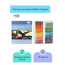Пастель масляная Гамма Студия круглая 36 цветов