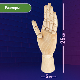Манекен художественный BRAUBERG ART CLASSIC "РУКА", высота 25 см., женская левая, дерево, 191298