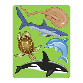 Трафарет-раскраска СТАММ "Морские обитатели", пакет, европодвес фото Трафарет-раскраска СТАММ "Морские обитатели", пакет, европодвес